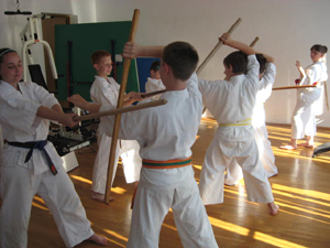 Karate Ostrowiec, Karate w Ostrowcu, judo Ostrowiec, tae kwon do Ostrowiec, boks Ostrowiec